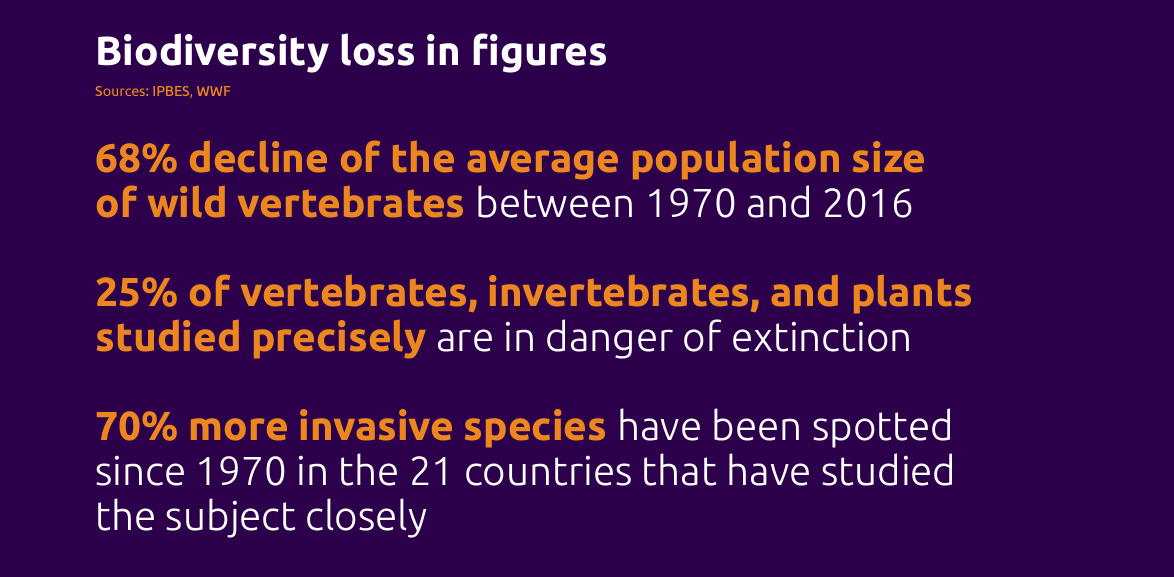 Biodiversity loss in figures 