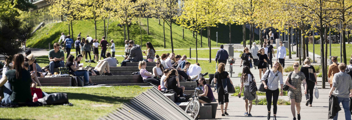 Copenhagen Business School main image