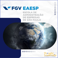 TLi - FGV