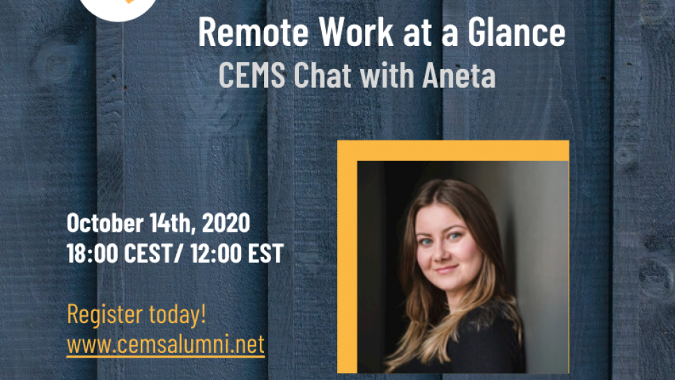 Remote Working at a Glance Flyer