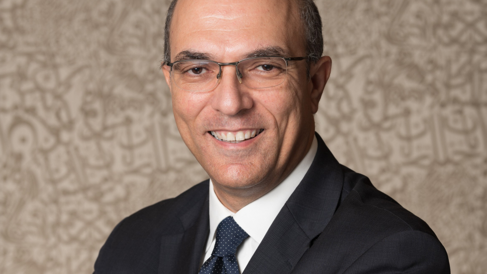  Sherif Kamel, Professor of Management, Dean of the School of Business at The American University in Cairo and President of the American Chamber of Commerce in Egypt.
